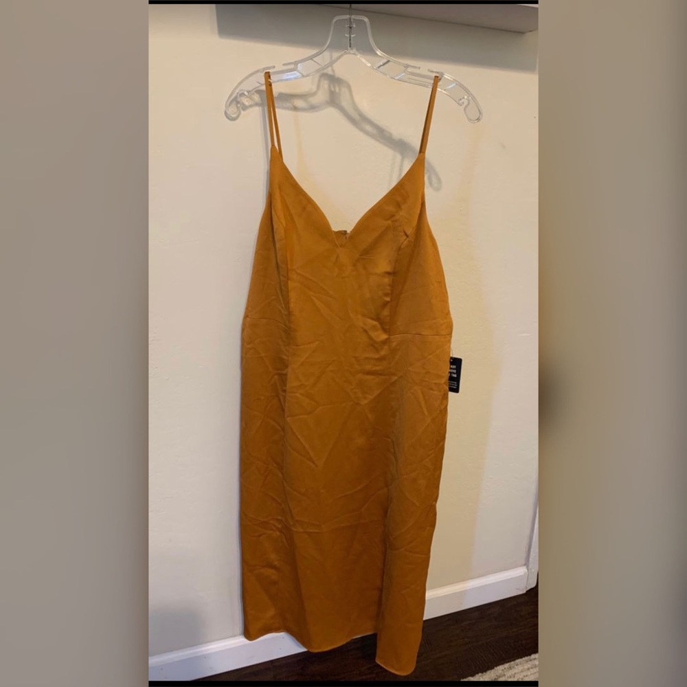 Express Dress! New, Never worn!